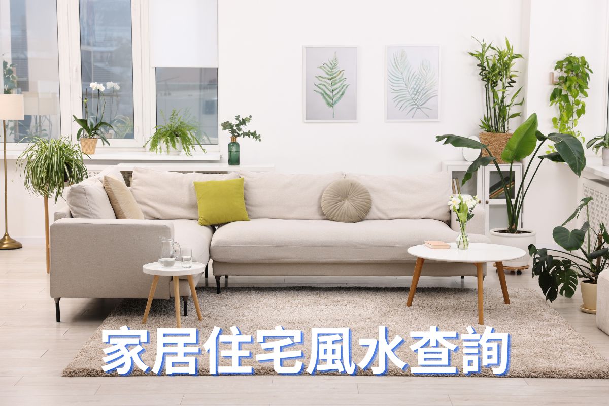 專業住宅風水勘察服務:專注新屋入伙佈局、舊屋改運及續租評估。精準測量大門、主臥及廚房等核心氣口,科學化解穿堂煞、天斬煞,助您啟動真財位與文昌位,打造藏風聚氣的安居樂業空間。